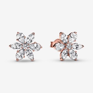 Rose Gold Plated Pandora Sparkling Herbarium Clusters Stud Earrings | TFQJSK-864